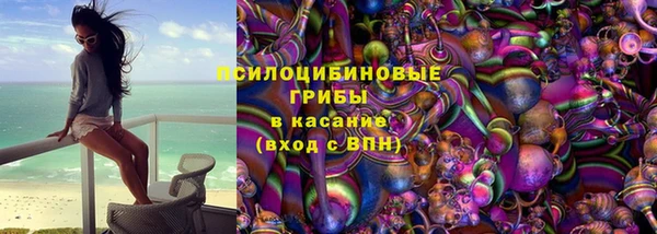 СК Гусь-Хрустальный