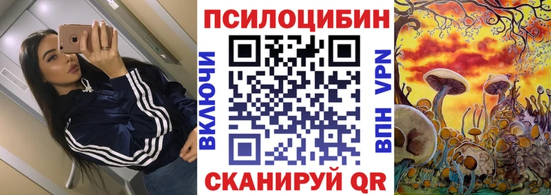 darknet Telegram  закладка  OMG ONION  Жуковка  Галлюциногенные грибы Psilocybe 